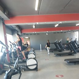 �������, ������, 55 ���