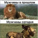 ���� Iib, �����-���������, 52 ���� - ��������� 3 ������� 2023 � ������ ���� ����������