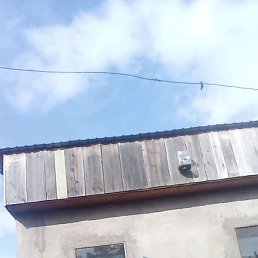 ��� ���������, ��������, 35 ���