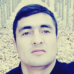 Javohir, ���������, 31 ���