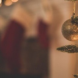 ���������, ����, 80 ���