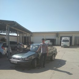 ������, �������, 39 ���