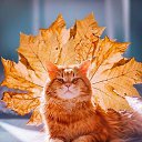 ���� �����, ������, 32 ���� - ��������� 19 ������� 2023 � ������ ������ ��������