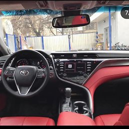 �����, ���������, 41 ���