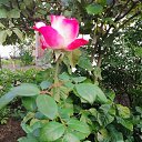 ���� ������, �����, 57 ��� - ��������� 22 ������ 2023