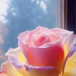 ���� ����, ������, 40 ��� - ��������� 14 ������� 2023