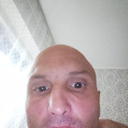 ������, ����, 44 ����
