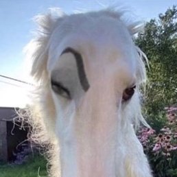 ����, ������, 21 ���