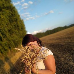 �����, ������, 35 ���