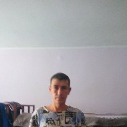 �����, ������, 41 ���