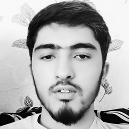 �����, �����-���������, 24 ����