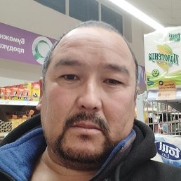 ����, �����-���������, 41 ���