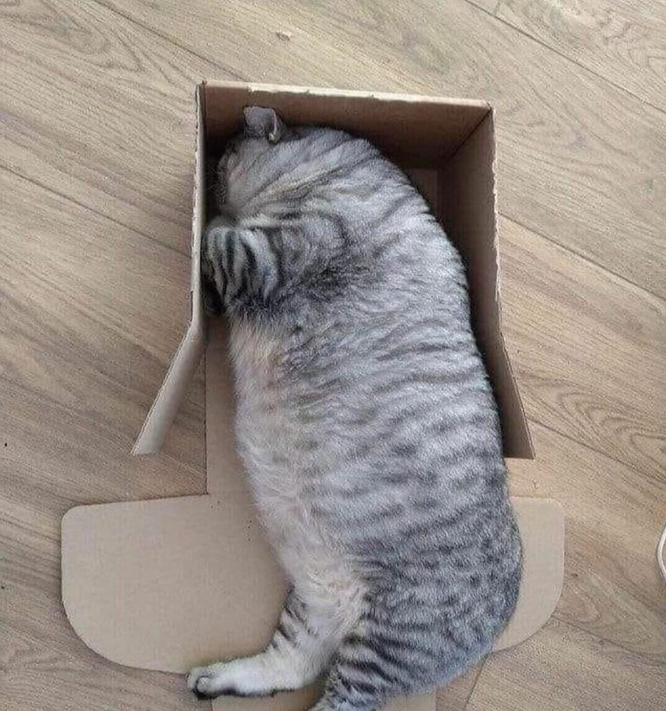 ))