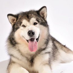 �������, ������, 45 ���