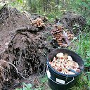 ���� ������, ���������� - ��������� 10 �������� 2023 � ������ ������ ��������