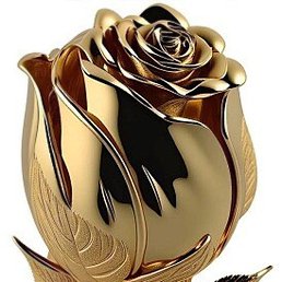 ����, �������, 71 ���