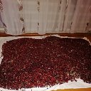 ���� �����, ����, 50 ��� - ��������� 13 ���� 2023