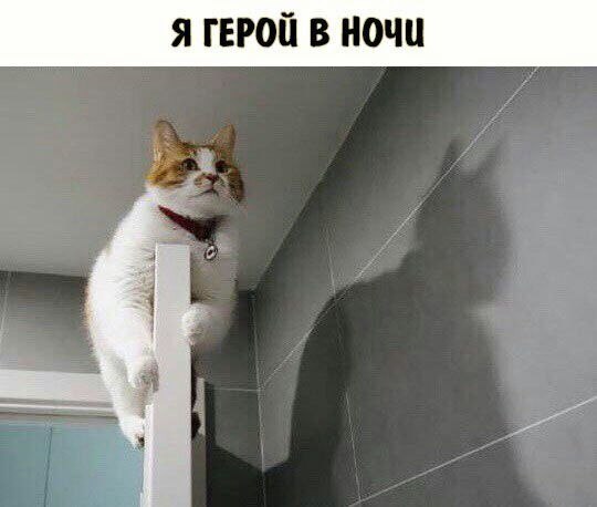    - 5  2023  20:37