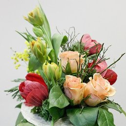 �����, ������, 68 ���