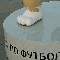 ���, �����-���������, 43 ����