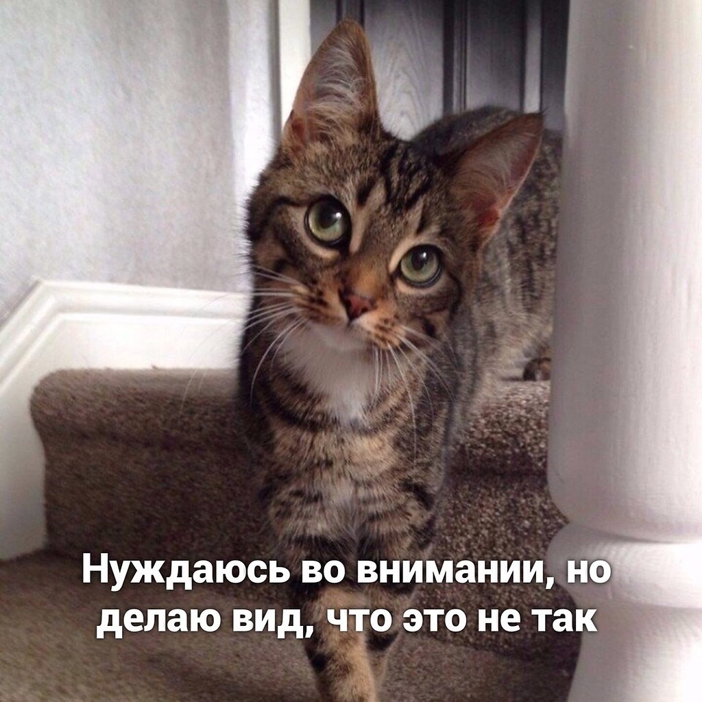    ? - 2