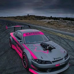 ˸��, �����, 23 ����