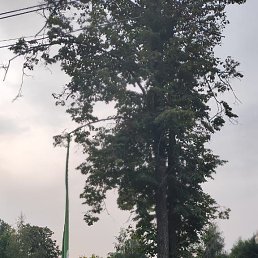 ���� ������, ������������, 54 ���� - ��������� 27 ���� 2023