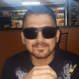 �����, �������, 41 ���