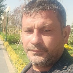 ����, ���������, 43 ����