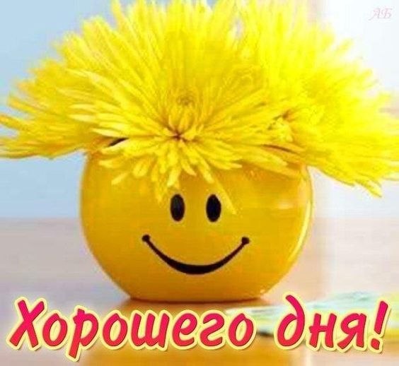 Меня всегда удивляли люди, спрашивающие, для чего всё это, где смысл, зачем мы живём? Дорогие мои, ...