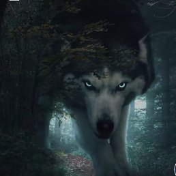 ���, ������, 26 ���