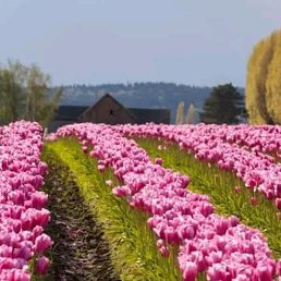 ���� Kelly, ������, 47 ��� - ��������� 11 ������� 2023