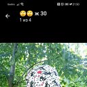  , , 33  -  28  2023    
