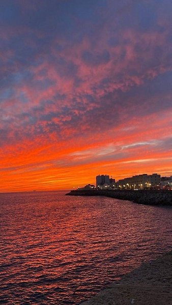    - 12  2023  21:33 - 4