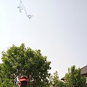 ���� ������, �����, 57 ��� - ��������� 9 ���� 2023 � ������ ���� ����������