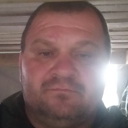 ��������, �����������������, 49 ���