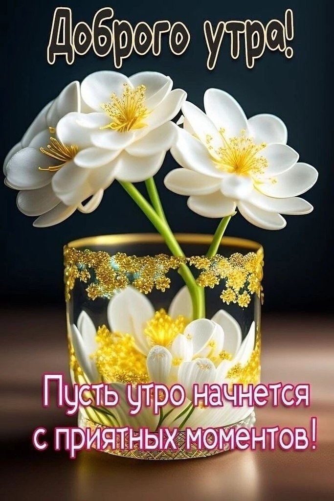 ~~~~~~~~~~~~~~~~~~~~~
