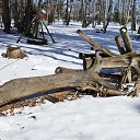  , , 69  -  19  2023     &quot;&quot; 4.