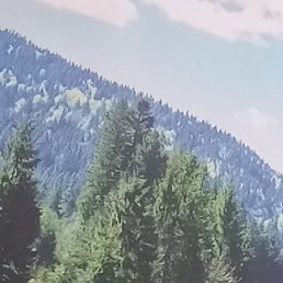 ����, ������, 20 ���