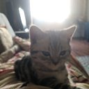 ���� ������, �������������, 46 ��� - ��������� 3 ����� 2023 � ������ ���� ����������