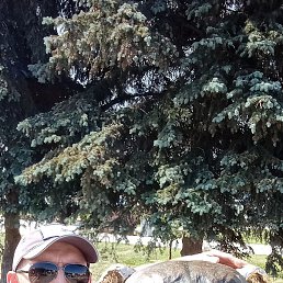 ����, ������, 49 ���