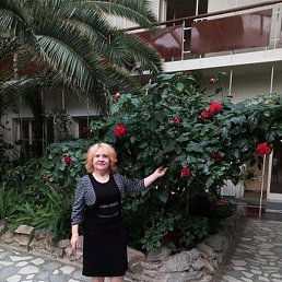 �������, ������������, 67 ���