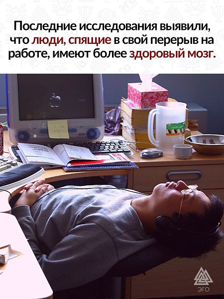 Если вас внезапно застанут спящим на рабочем месте, вы смело можете прикрываться приведённым ниже ...