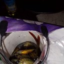 ���� ����, �����-���������, 50 ��� - ��������� 2 ������� 2023