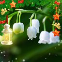 ���� ���������, �����, 51 ��� - ��������� 21 ���� 2023