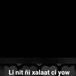 Cc, �����������, 33 ����