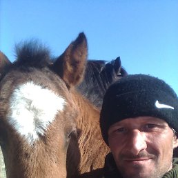 ������, ���������, 42 ����