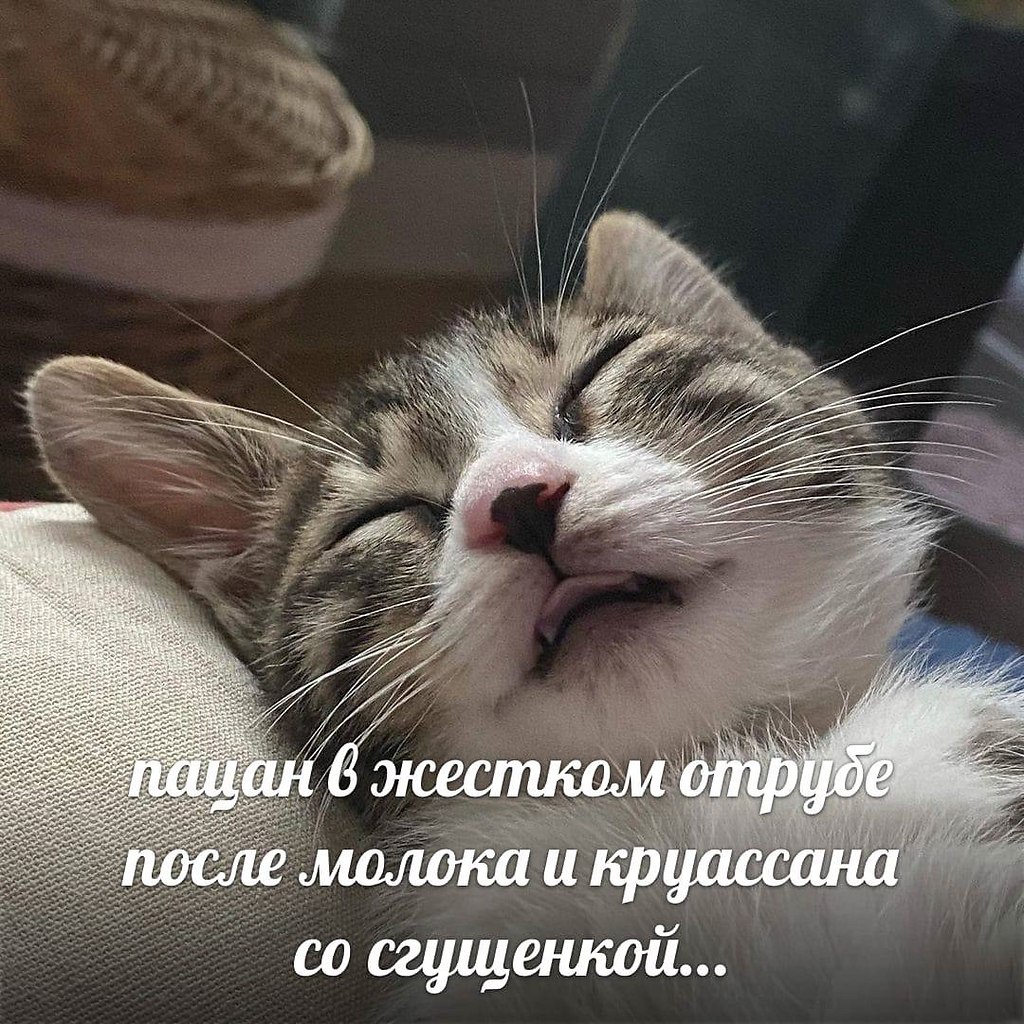    - 29  2023  03:14