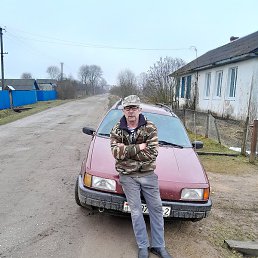 �����, �����, 64 ����