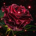 ���� ������, �������, 54 ���� - ��������� 26 ��� 2023 � ������ ���� ����������